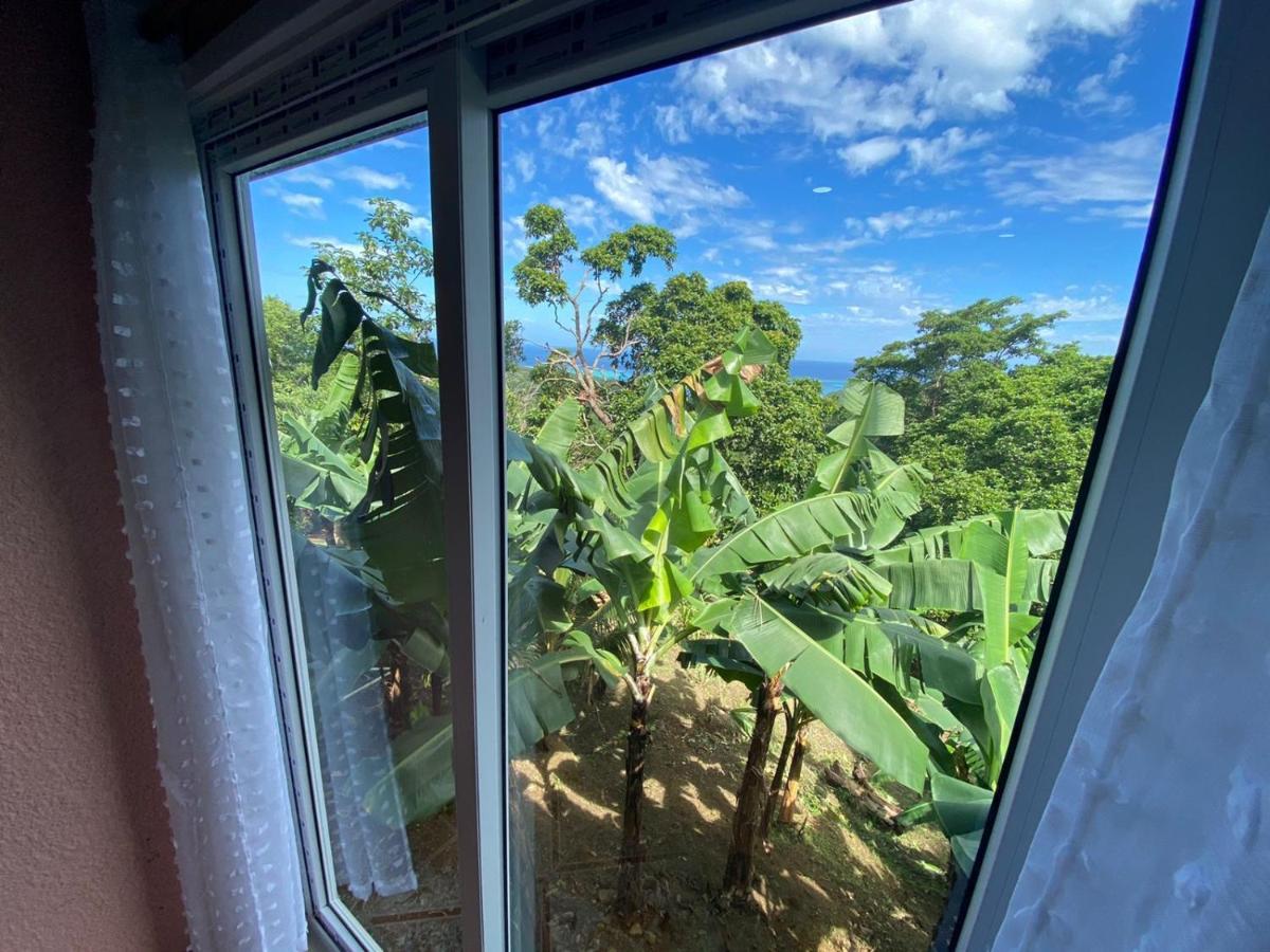 Roatan Forest View Apartment Six Huts Luaran gambar